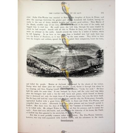 Mary Knoll Valley, Salop, England, Book Illustration (Print), 1882