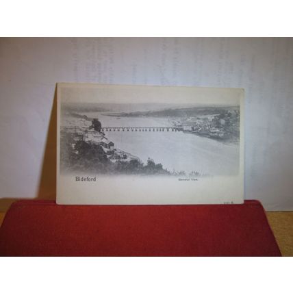 BIDEFORD, DEVON unused antique postcard Peacock series =