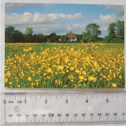 modern postcard Barham Green, Suffolk