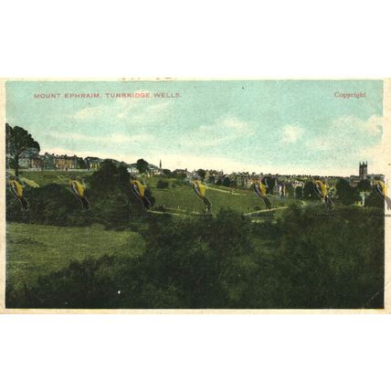Mount Ephraim, Tunbridge Wells, Kent, DD & G, Germany, Postcard, 1900/10s