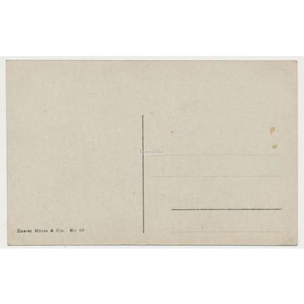 Norway Forest Thick Snow Ski tracks early 20th C. unused RPPC Mittet No. 18