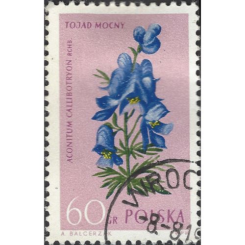 POLAND, FLOWER, Aconitum callibotryon, violet 1962, 60GR