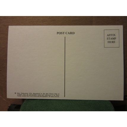 'ALL FORESTERS', THE NEW FOREST HAMPSHIRE unused postcard mule/donkey and foal =