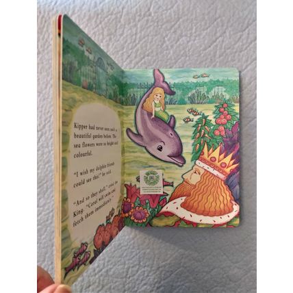 THE DOLPHIN DAYTRIP by COLLEEN PAYNE ILLUSTRATED BOARD BOOK