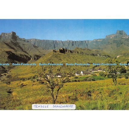 D024232 Tendele Hutted Camp and The Amphitheatre. In the Royal Natal National Pa