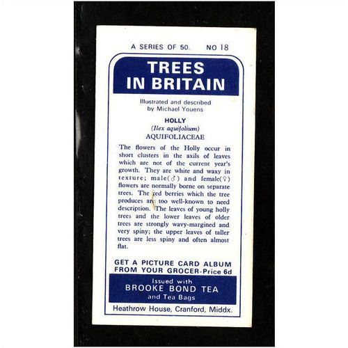 Brooke Bond Tea Card, Trees in Britain, no.18 Holly