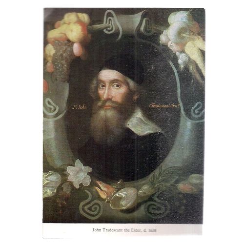 JOHN TRADESCANT THE ELDER unused vintage postcard #