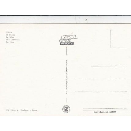 Siena Duomo Italy Postcard unused VGC