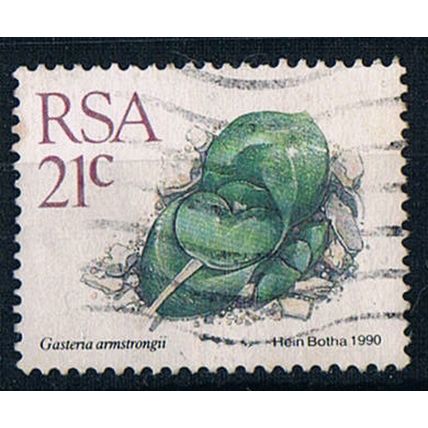 South Africa 1988 SG660a S.A.23 Succulents Gasteria Armstrongii 21c Used Stamp