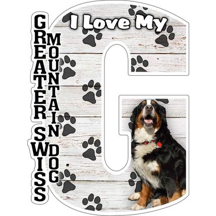 I Love My Greater Swiss Mountain Dog Fridge Magnet