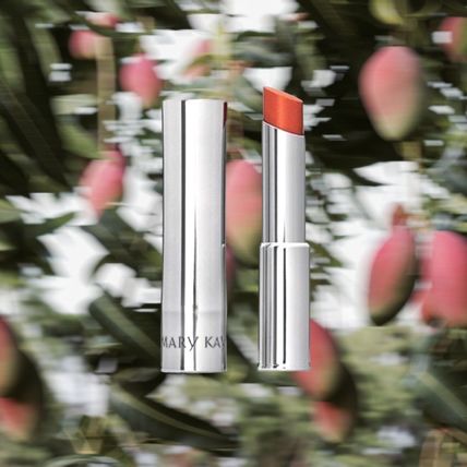 Exotic Mango - Mary Kay True Dimensions Lipstick - Discontinued - Rare!