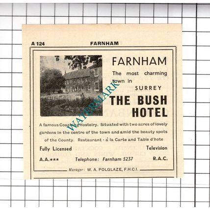 The Bush Hotel Farnham W A Polglaze Small Advert - 1958 Cutting