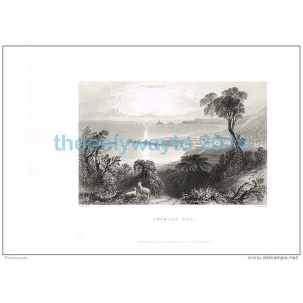 SWANSEA BAY, WALES, BARTLETT-ARMYTAGE, BOOK ENGRAVING, c1850