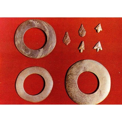 Neolothic Stone Age Antique Discs Pointes De Fleches Postcard