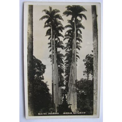 1938 postcard Rio De Janeiro - Jardim Botanica