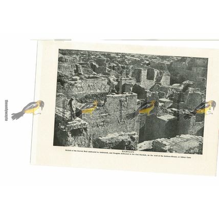 Babylon, Reliefs, Iraq, Book Illustration (Print), 1935