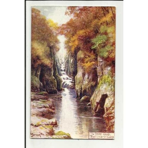 Wales BETTWS-Y-COED Fairy Glen "Jotter" Art Postcard by Boots