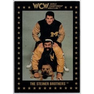 WCW CHAMPIONSHIP MARKETING ' STEINER BROTHERS ' card # 6 (1991)