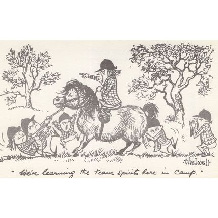 Norman Thelwell Pony Horse Camp Riding Comic Art Postcard