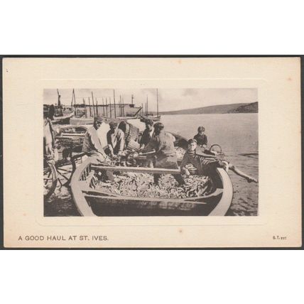 A Good Haul at St Ives, Cornwall, c.1905-10 - Peacock Postcard