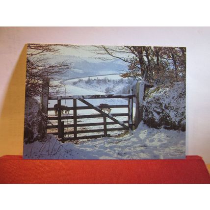 AN EXMOOR HILL FARM, DEVON unused postcard. Exmoor National Park =