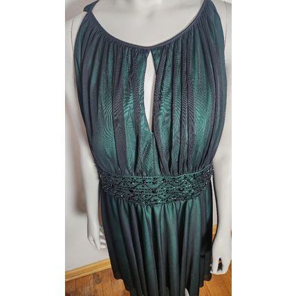 La Nouvelle NWT Women's size 1X Dress Green Renaissance