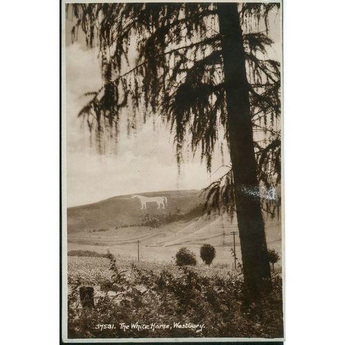 Sweetman Real Postcard 1952 - The White Horse, Westbury, Wiltshire - 37531
