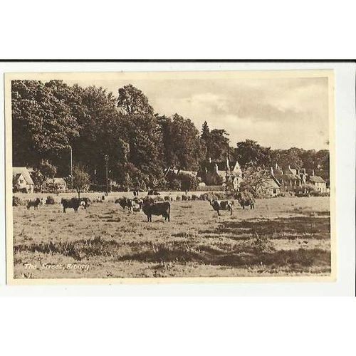 Gloucestershire BIBURY Street Postcard by Wyndham