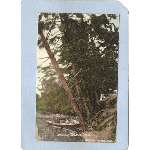 MA Concord Hemlocks ma_box2~803