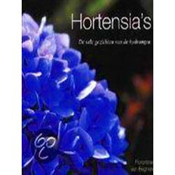 Hortensia S