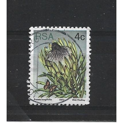 SouthAfrica.SG417 4c Protea Longifolia.Fine Used.Sep25t