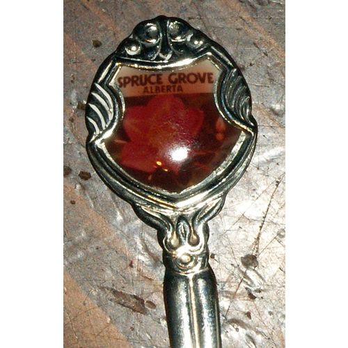 Spruce Grove Alberta Canada Souvenir Teaspoon Tea Spoon Wild Rose