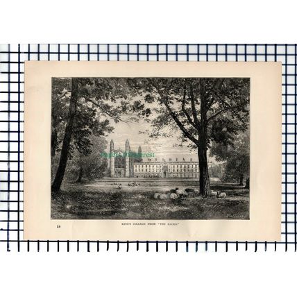 (6405) King's College From The Backs - 1892 Antique Print