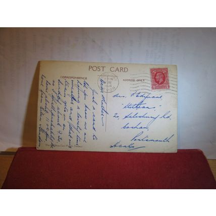 PALM BLOSSOM, PRINCESS GARDENS, TORQUAY, DEVON used vintage postcard 1936 pm =