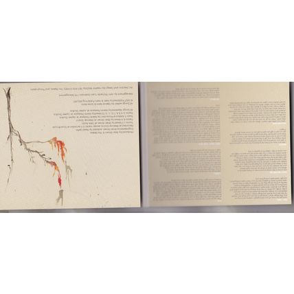 The Blakes : The Blakes. (2008) Digipak CD album