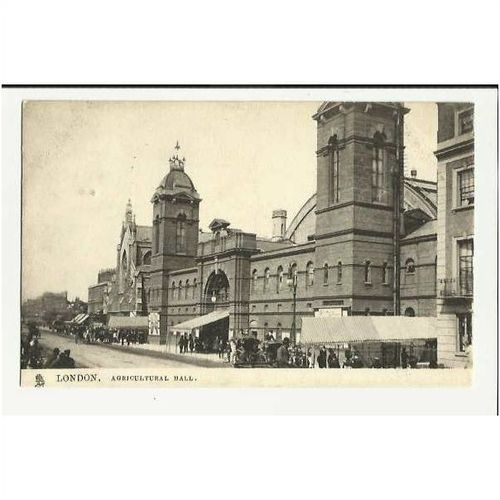 LONDON Agricultural Hall Postcard by Tuck (2001)
