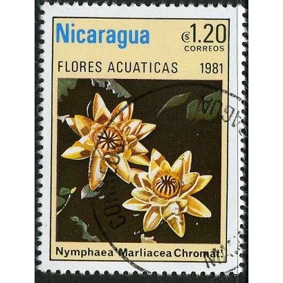1981 Michel 2203 - cancelled - FLOWER