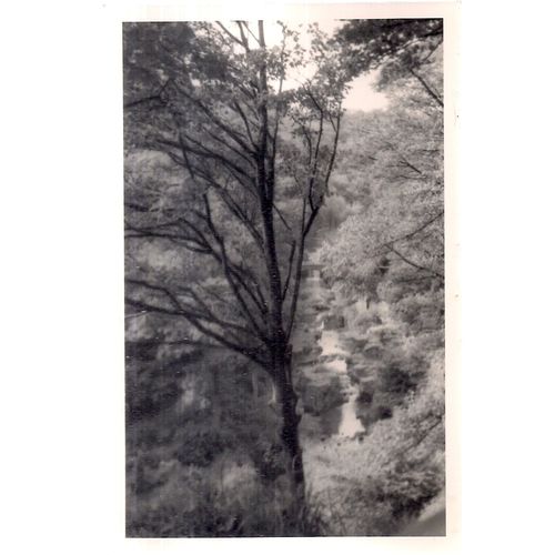 vintage photo of JESMOND DENE, NEWCASTLE ON TYNE 1964 =