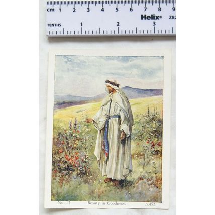 Vintage: God and His World Lesson 13 Beauty in Goodness