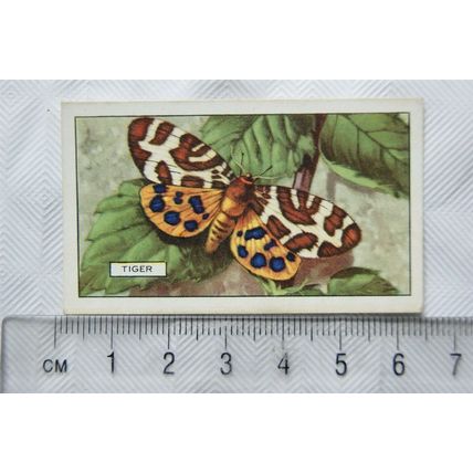 1938 Gallaher's Butterflies & Moths No. 9 Tiger