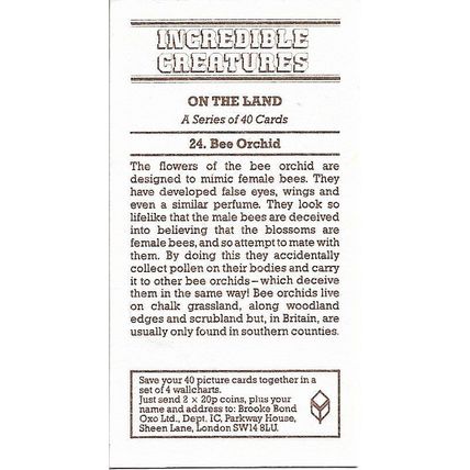 Incredible Creatures 1985 Brooke Bond Tea Card 24 - Bee Orchid