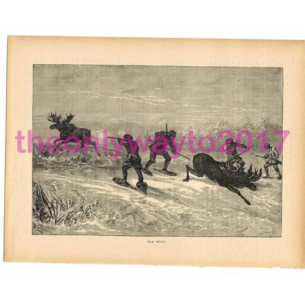 Elk Hunt, Victorian Natural History Book Illustration, 1896