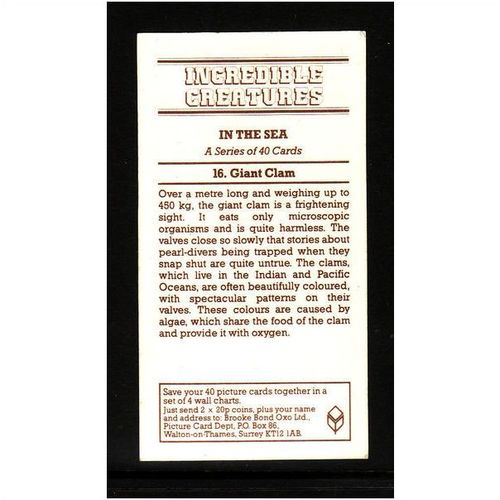 Brook Bond INCREDIBLE CREATURES IN THE SEA GIANT CLAM No 16 Mint