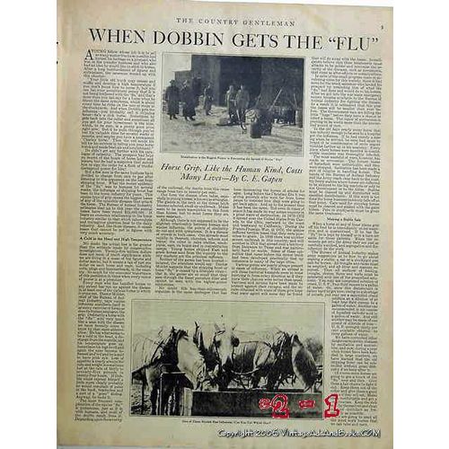 WHEN DOBBIN GETS THE FLU 1918 horse grip CE Gapen farm vintage article