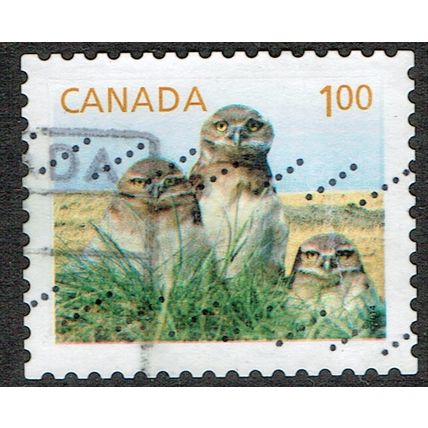 Canada 2011 Young Wildlife $1 Multicoloured SG2706d GU