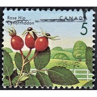 CANADA, 1991 5c Rose Hip, SG 1463 (Scott #1352), used