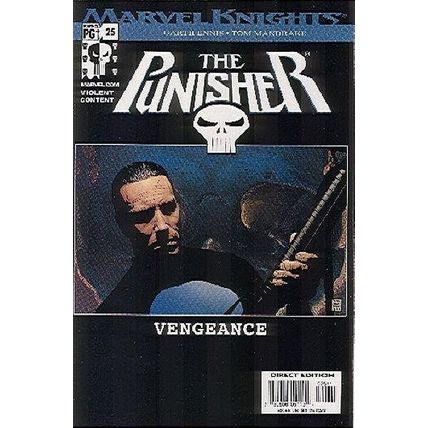Punisher (Vol 3) # 025 NM MODERN AGE COMICS