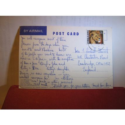 FLOWERS, ZIMBABWE, used postcard #