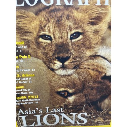 National Geographic Magazine June 2001 Asia's Last Lions - Vintage Collectable