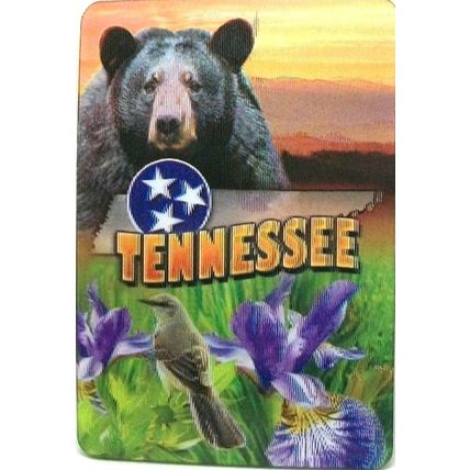 Tennessee 3D Fridge Magnet